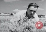 Image of German farmers harvesting oats Wiesbaden Germany, 1954, second 18 stock footage video 65675031781