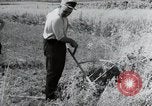 Image of German farmers harvesting oats Wiesbaden Germany, 1954, second 23 stock footage video 65675031781