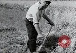 Image of German farmers harvesting oats Wiesbaden Germany, 1954, second 28 stock footage video 65675031781