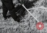 Image of German farmers harvesting oats Wiesbaden Germany, 1954, second 30 stock footage video 65675031781