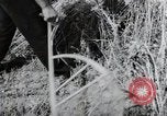 Image of German farmers harvesting oats Wiesbaden Germany, 1954, second 31 stock footage video 65675031781