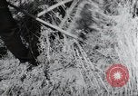 Image of German farmers harvesting oats Wiesbaden Germany, 1954, second 32 stock footage video 65675031781
