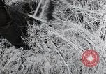 Image of German farmers harvesting oats Wiesbaden Germany, 1954, second 34 stock footage video 65675031781