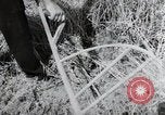 Image of German farmers harvesting oats Wiesbaden Germany, 1954, second 35 stock footage video 65675031781