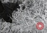Image of German farmers harvesting oats Wiesbaden Germany, 1954, second 36 stock footage video 65675031781