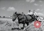 Image of German farmers harvesting oats Wiesbaden Germany, 1954, second 41 stock footage video 65675031781