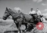 Image of German farmers harvesting oats Wiesbaden Germany, 1954, second 42 stock footage video 65675031781
