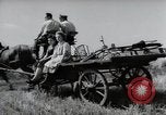 Image of German farmers harvesting oats Wiesbaden Germany, 1954, second 51 stock footage video 65675031781