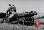Image of German farmers harvesting oats Wiesbaden Germany, 1954, second 52 stock footage video 65675031781