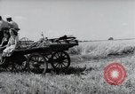 Image of German farmers harvesting oats Wiesbaden Germany, 1954, second 53 stock footage video 65675031781
