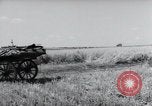 Image of German farmers harvesting oats Wiesbaden Germany, 1954, second 54 stock footage video 65675031781