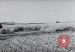 Image of German farmers harvesting oats Wiesbaden Germany, 1954, second 55 stock footage video 65675031781