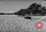 Image of German farmers harvesting oats Wiesbaden Germany, 1954, second 60 stock footage video 65675031781
