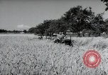 Image of German farmers harvesting oats Wiesbaden Germany, 1954, second 61 stock footage video 65675031781