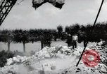 Image construction de pont Wiesbaden Allemagne, 1954, de la seconde 33 séquences d'archives historiques vidéo 65675031785