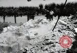 Image construction de pont Wiesbaden Allemagne, 1954, de la seconde 34 séquences d'archives historiques vidéo 65675031785