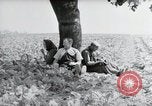 Image of German farmers Wiesbaden Germany, 1954, second 8 stock footage video 65675031787