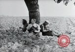 Image of German farmers Wiesbaden Germany, 1954, second 11 stock footage video 65675031787