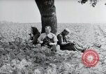 Image of German farmers Wiesbaden Germany, 1954, second 12 stock footage video 65675031787