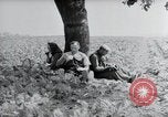 Image of German farmers Wiesbaden Germany, 1954, second 13 stock footage video 65675031787