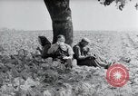Image of German farmers Wiesbaden Germany, 1954, second 14 stock footage video 65675031787
