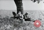 Image of German farmers Wiesbaden Germany, 1954, second 15 stock footage video 65675031787