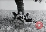 Image of German farmers Wiesbaden Germany, 1954, second 17 stock footage video 65675031787