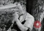 Image of German farmers Wiesbaden Germany, 1954, second 18 stock footage video 65675031787