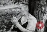 Image of German farmers Wiesbaden Germany, 1954, second 19 stock footage video 65675031787