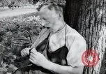 Image of German farmers Wiesbaden Germany, 1954, second 22 stock footage video 65675031787