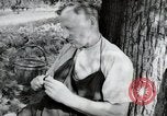 Image of German farmers Wiesbaden Germany, 1954, second 23 stock footage video 65675031787