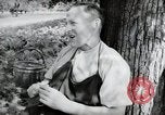 Image of German farmers Wiesbaden Germany, 1954, second 24 stock footage video 65675031787