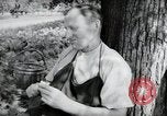 Image of German farmers Wiesbaden Germany, 1954, second 25 stock footage video 65675031787