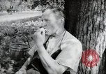 Image of German farmers Wiesbaden Germany, 1954, second 27 stock footage video 65675031787