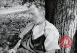Image of German farmers Wiesbaden Germany, 1954, second 30 stock footage video 65675031787
