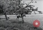 Image of German farmers Wiesbaden Germany, 1954, second 33 stock footage video 65675031787