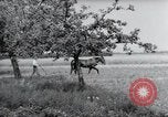 Image of German farmers Wiesbaden Germany, 1954, second 34 stock footage video 65675031787