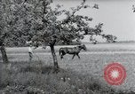 Image of German farmers Wiesbaden Germany, 1954, second 35 stock footage video 65675031787