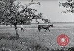 Image of German farmers Wiesbaden Germany, 1954, second 38 stock footage video 65675031787