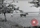 Image of German farmers Wiesbaden Germany, 1954, second 39 stock footage video 65675031787