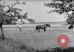 Image of German farmers Wiesbaden Germany, 1954, second 40 stock footage video 65675031787