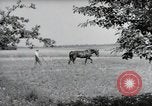 Image of German farmers Wiesbaden Germany, 1954, second 41 stock footage video 65675031787