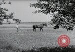 Image of German farmers Wiesbaden Germany, 1954, second 42 stock footage video 65675031787