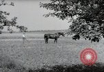 Image of German farmers Wiesbaden Germany, 1954, second 43 stock footage video 65675031787