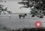 Image of German farmers Wiesbaden Germany, 1954, second 44 stock footage video 65675031787