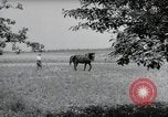 Image of German farmers Wiesbaden Germany, 1954, second 45 stock footage video 65675031787
