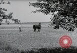 Image of German farmers Wiesbaden Germany, 1954, second 46 stock footage video 65675031787