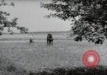 Image of German farmers Wiesbaden Germany, 1954, second 47 stock footage video 65675031787