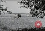 Image of German farmers Wiesbaden Germany, 1954, second 48 stock footage video 65675031787