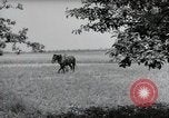 Image of German farmers Wiesbaden Germany, 1954, second 49 stock footage video 65675031787